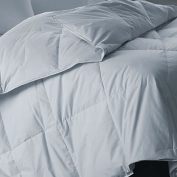 Comforter level 2 Cropped